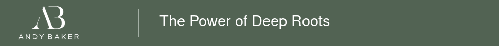 Andy Baker Real Estate ad banner